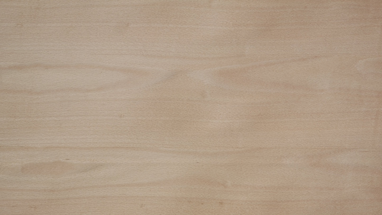 Beech Veneer