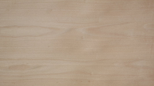 Beech Veneer